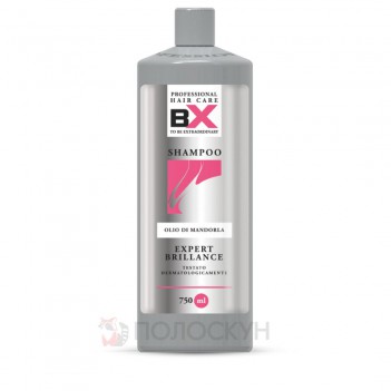 ﻿Шампунь для блиску волосся Expert Brilliance BX Professional