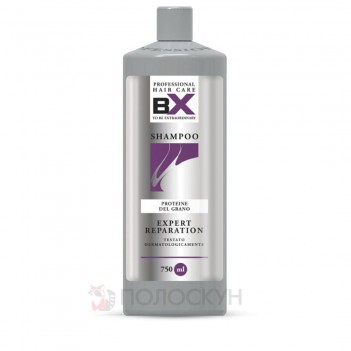 ﻿Шампунь для відновлення волосся Expert Reparation BX Professional