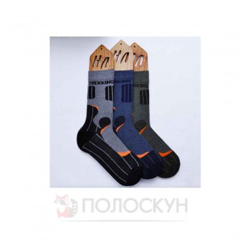 ﻿Чоловічі шкарпетки НОВА ЛІНІЯ  ТЕРМО №453  Нова Лінія