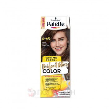 ﻿Фарба для волосся Гарячий капучіно РGС 4-65 Palette
