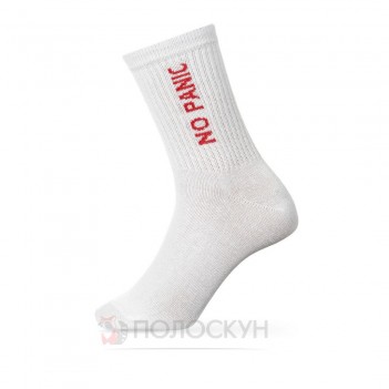 ﻿Чоловічі шкарпетки No Panik 27-29h V&T